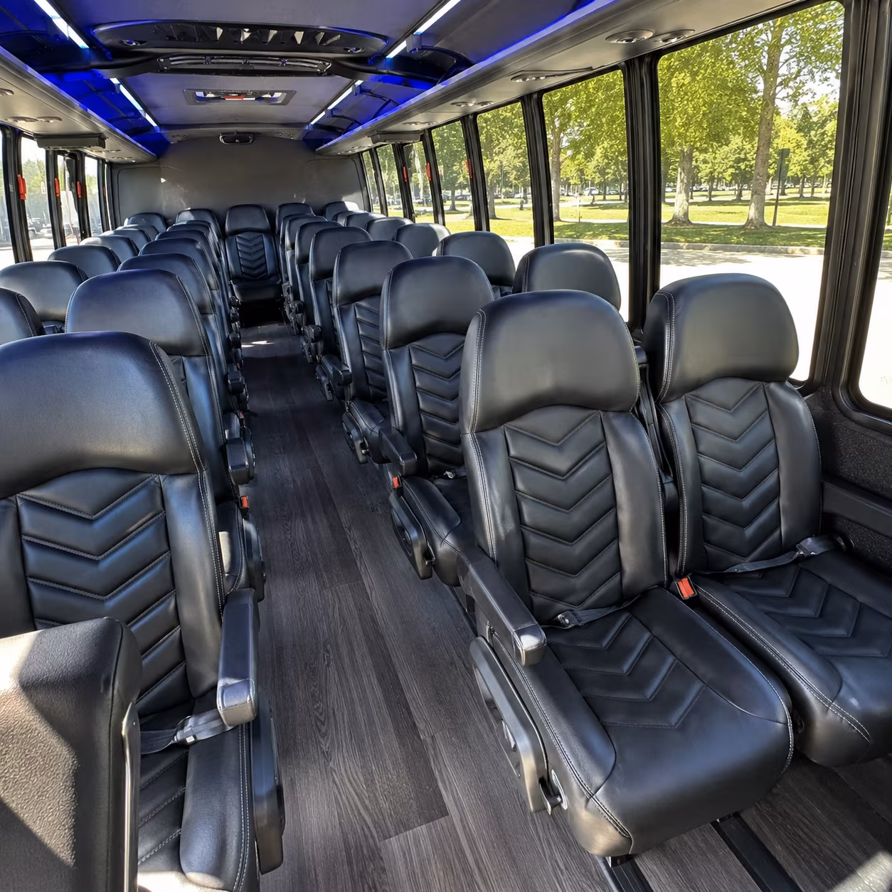wine tour bus rentals in gainesville for birthday groups and special occasions